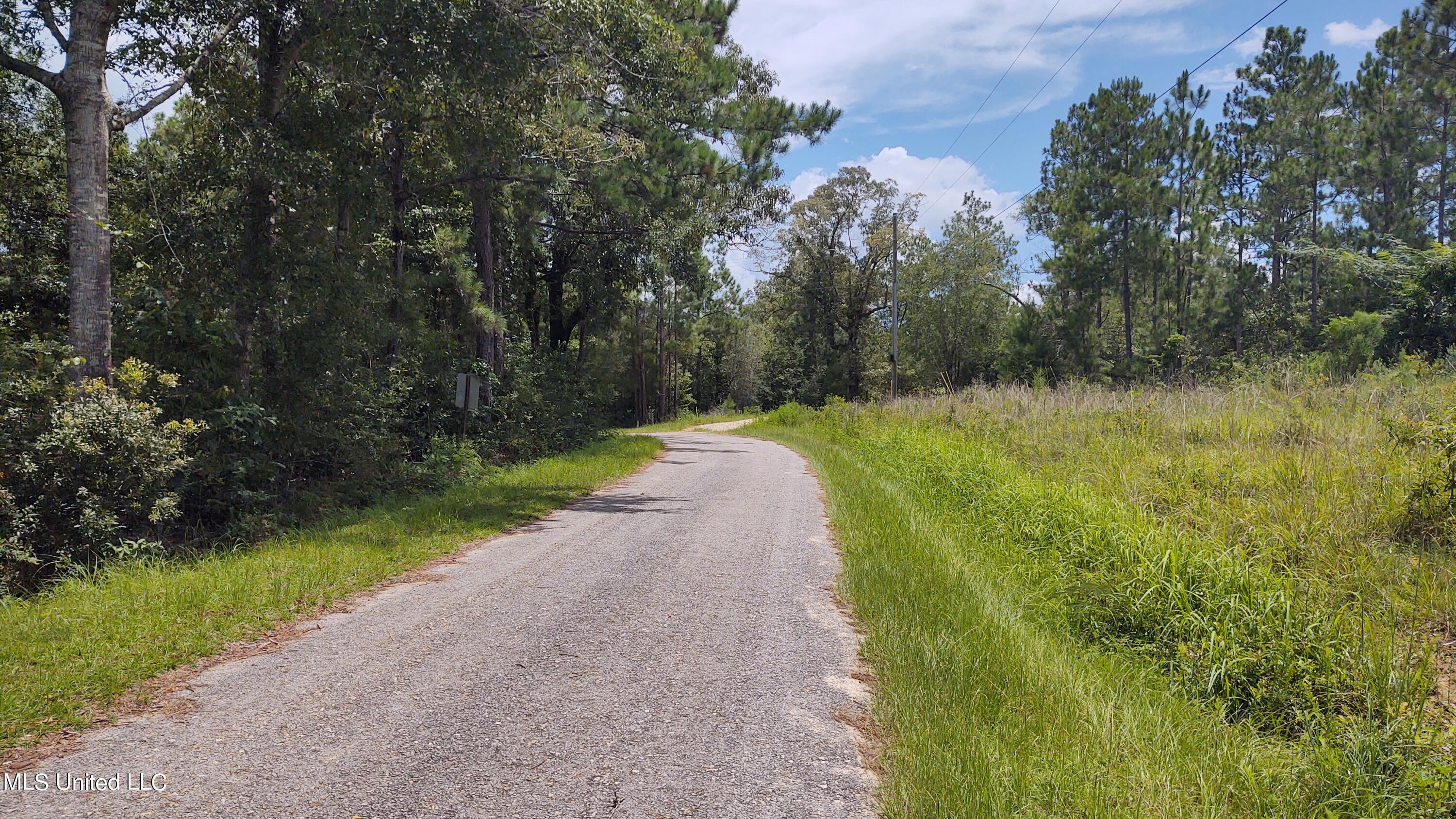 0 Luke Jones Road Poplarville, MS 39470 - Photo 5 of 6 IMG_20220805_124756496