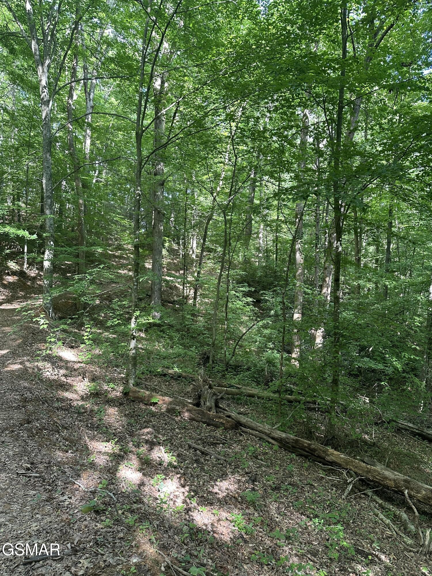 0 Little Bear Road Cosby, TN 37722 - Photo 20 of 46 Gallery Image 20