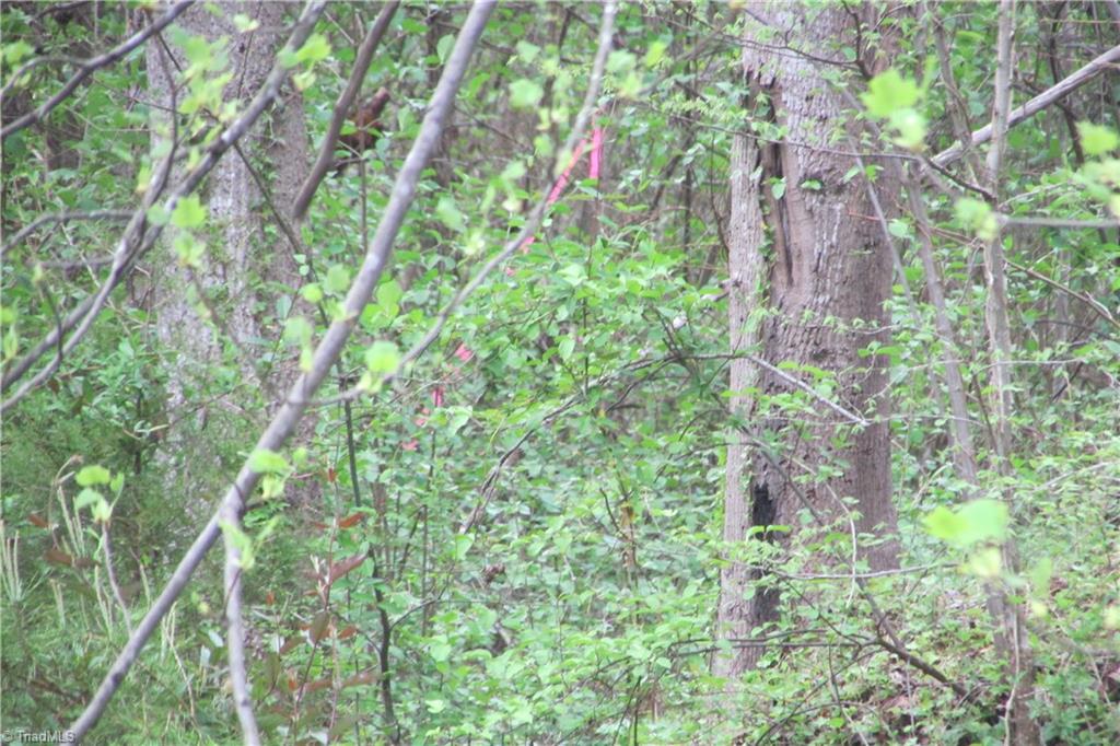 7047 Styers Ferry Road Clemmons, NC 27012 - Photo 39 of 48 Gallery Image 39