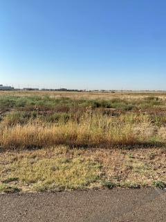 6895 Jimmys Way Amarillo, TX 79118 - Photo 1 of 1 a view of lake