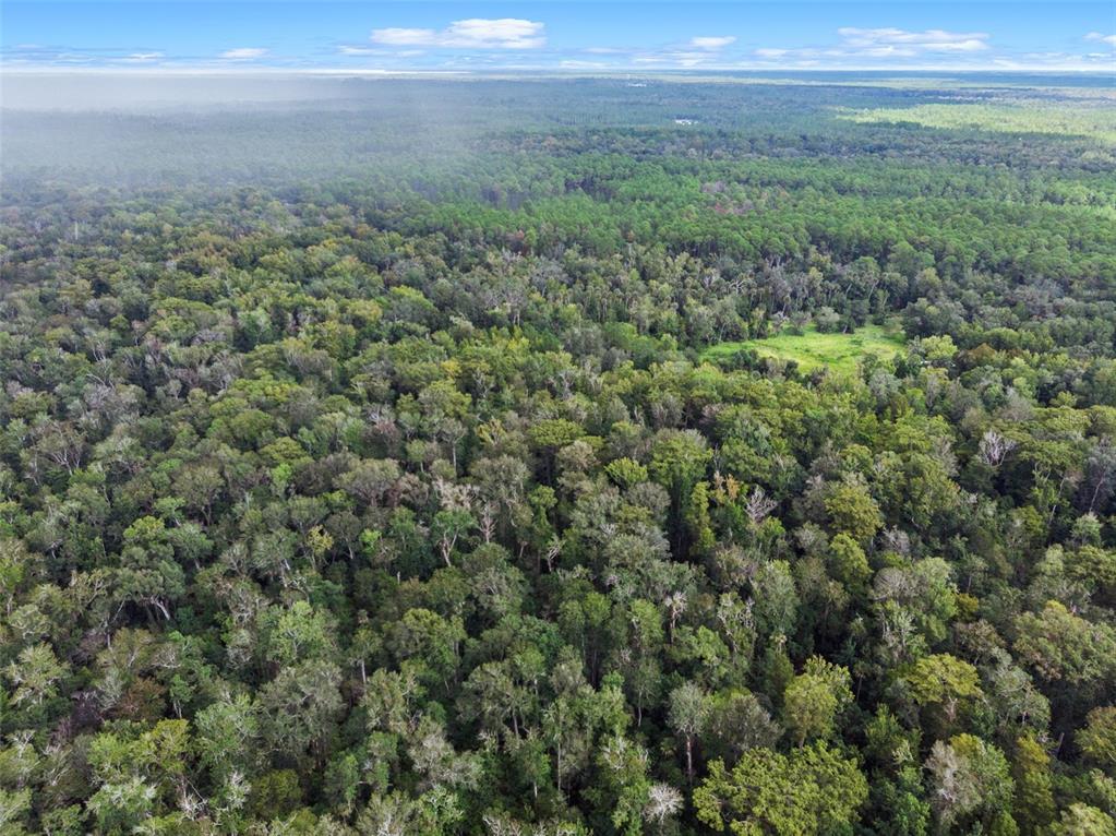 73 Alco Road Astor, FL 32102 - Photo 11 of 53 a view of a field with an outdoor space