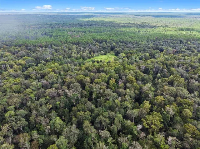 a view of a green field with lots of bushes