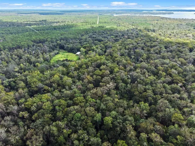 a view of a big yard with lots of green space