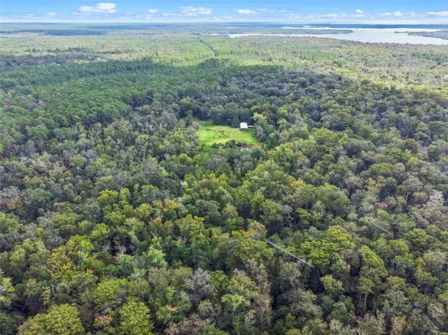 a view of a green field with lots of bushes