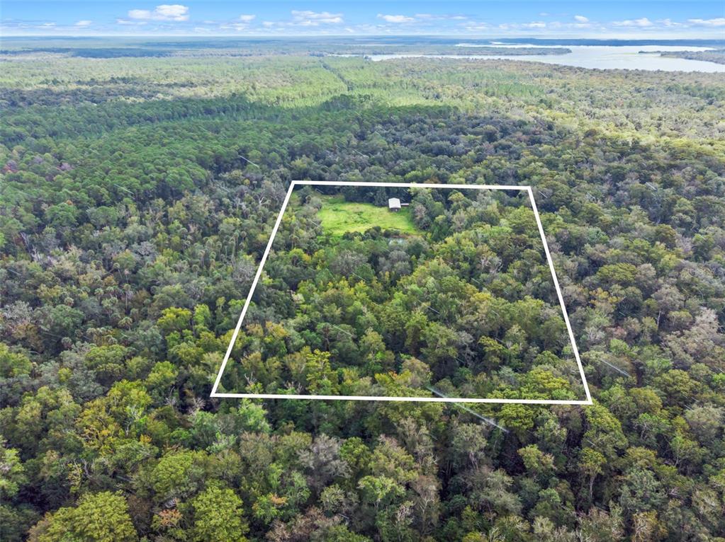 73 Alco Road Astor, FL 32102 - Photo 21 of 53 a view of a forest
