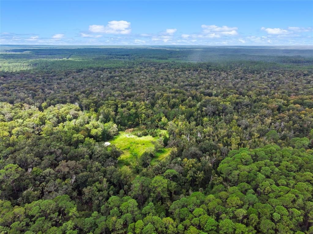 73 Alco Road Astor, FL 32102 - Photo 3 of 53 a view of a green building with trees in the background