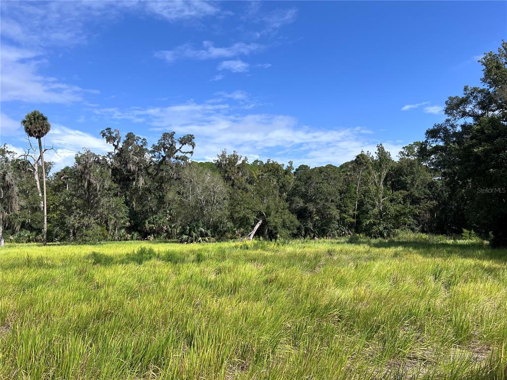 73 Alco Road Astor, FL 32102 - Photo 31 of 53 a view of outdoor space with swimming pool and trees in the background