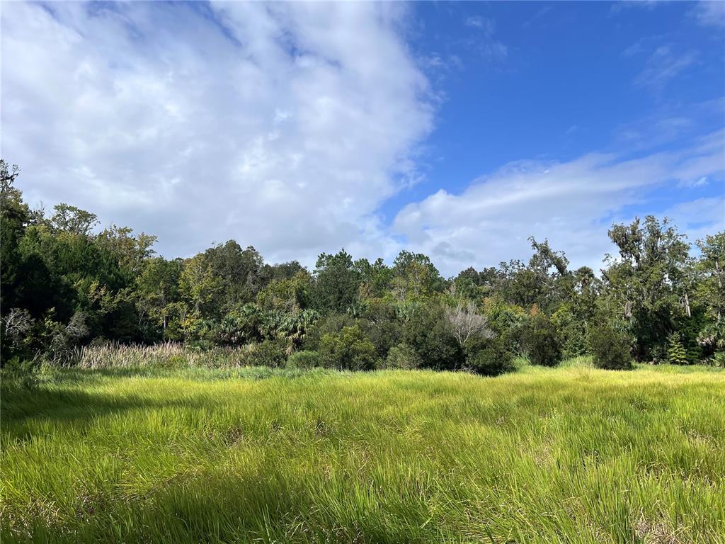 73 Alco Road Astor, FL 32102 - Photo 32 of 53 a view of a big yard with a large tree