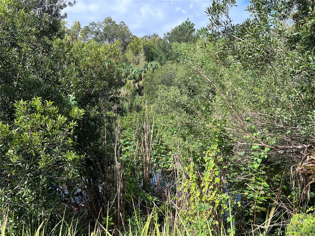 73 Alco Road Astor, FL 32102 - Photo 34 of 53