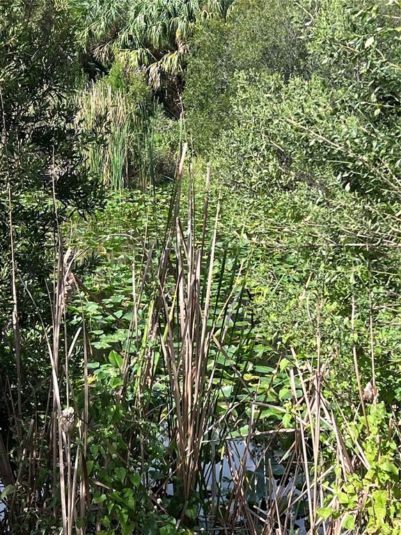 73 Alco Road Astor, FL 32102 - Photo 35 of 53 unknown