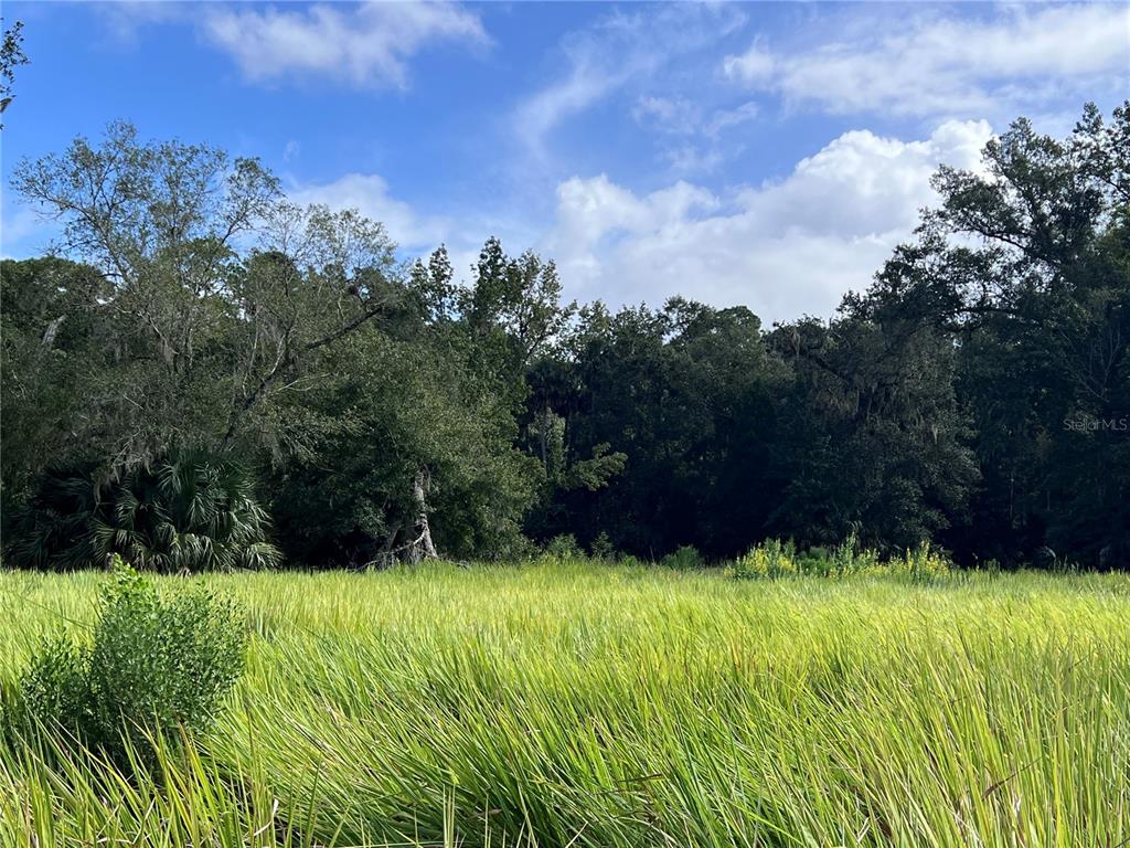 73 Alco Road Astor, FL 32102 - Photo 38 of 53 a view of outdoor space and yard