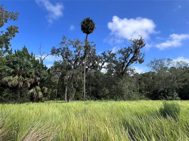 a view of a swimming pool with a yard
