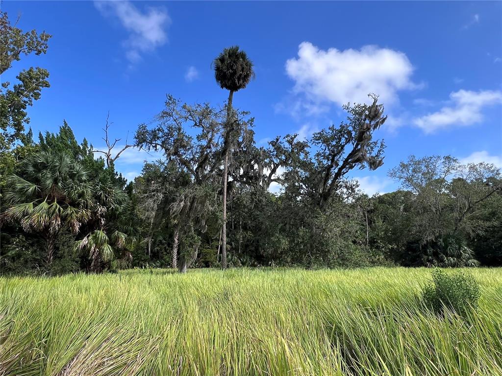 73 Alco Road Astor, FL 32102 - Photo 39 of 53 a view of an outdoor space and a yard