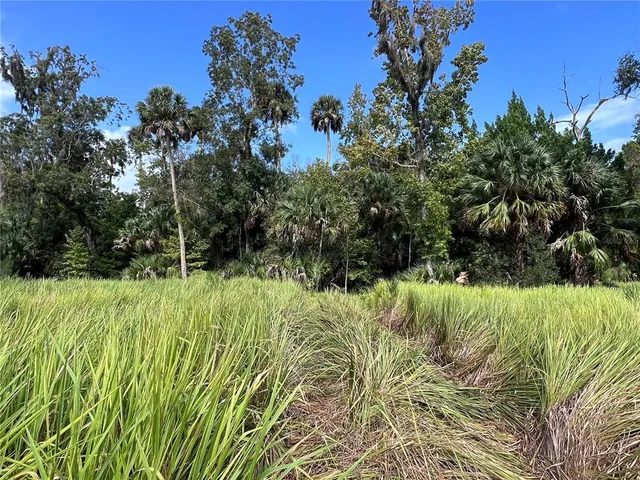 a view of yard with green space
