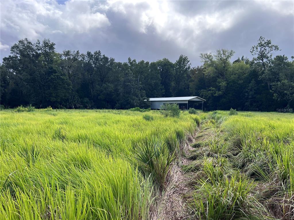 73 Alco Road Astor, FL 32102 - Photo 42 of 53 a view of a swimming pool with a yard