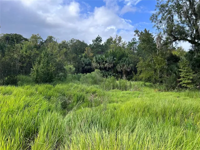 a view of a swimming pool and a yard