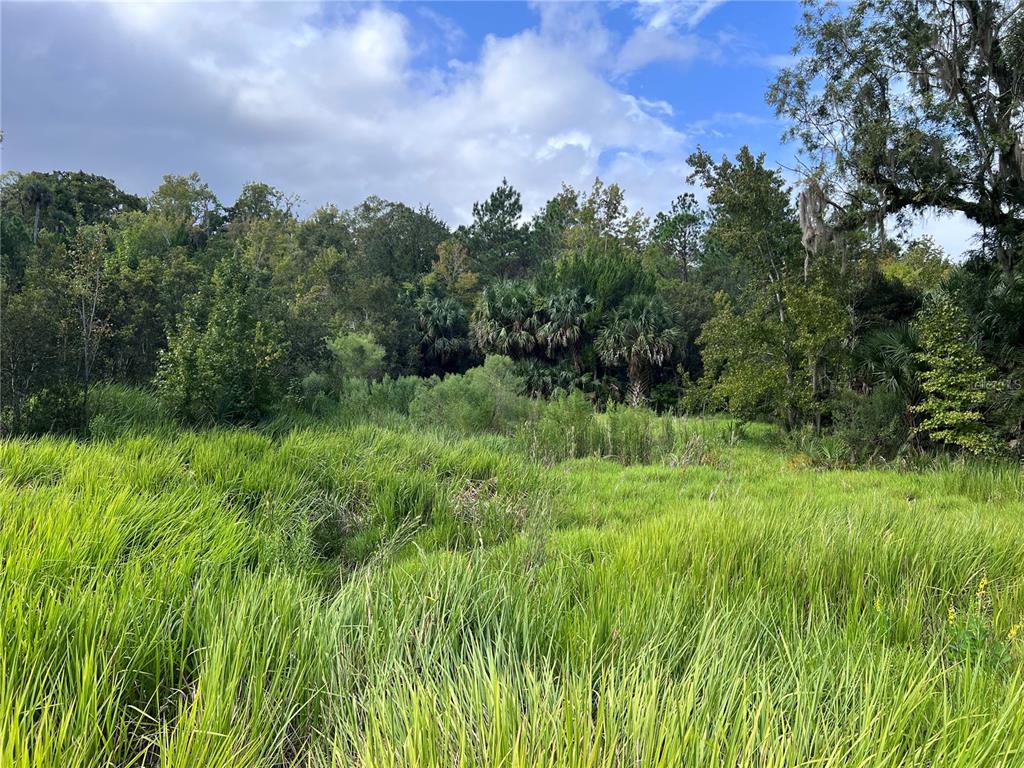 73 Alco Road Astor, FL 32102 - Photo 45 of 53 a view of a lush green space