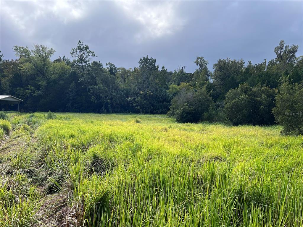 73 Alco Road Astor, FL 32102 - Photo 47 of 53 a view of a large garden with an outdoor space and seating area