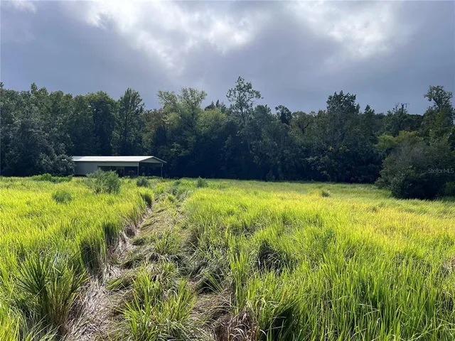 a view of outdoor space and a yard