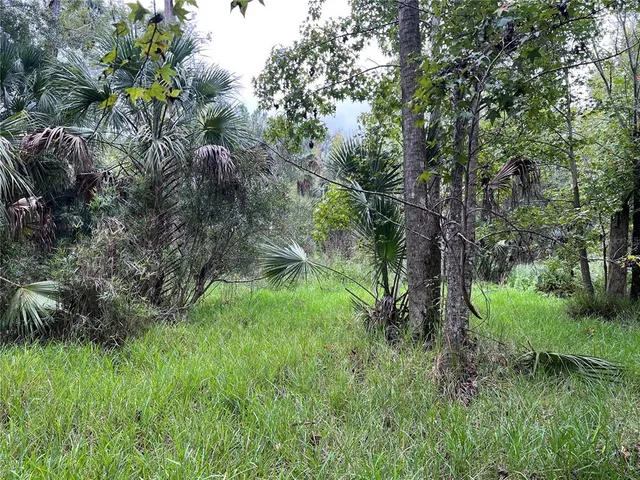 a view of backyard with green space