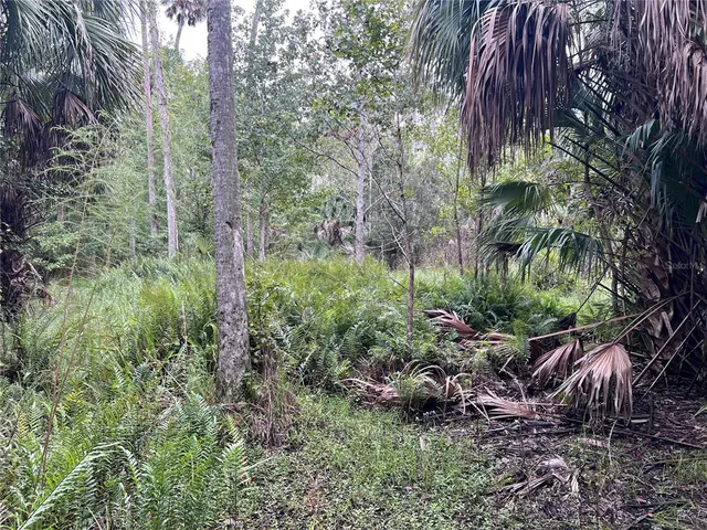 $315,000 | 73 Alco Road, Astor, FL 32102