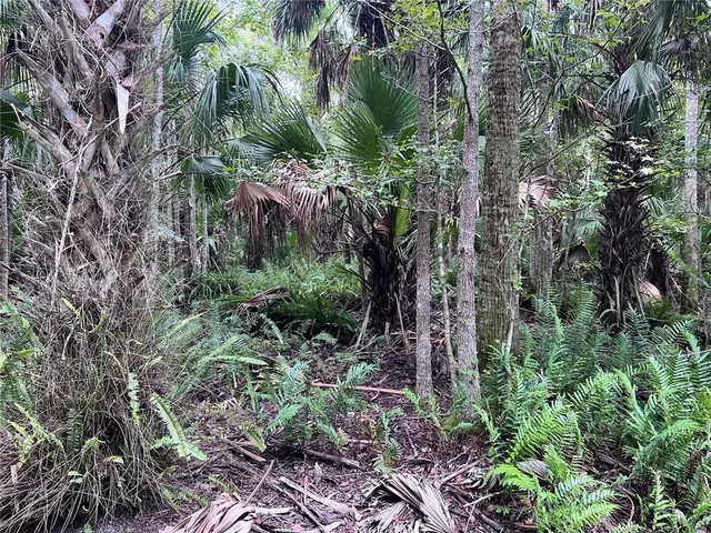 $315,000 | 73 Alco Road, Astor, FL 32102