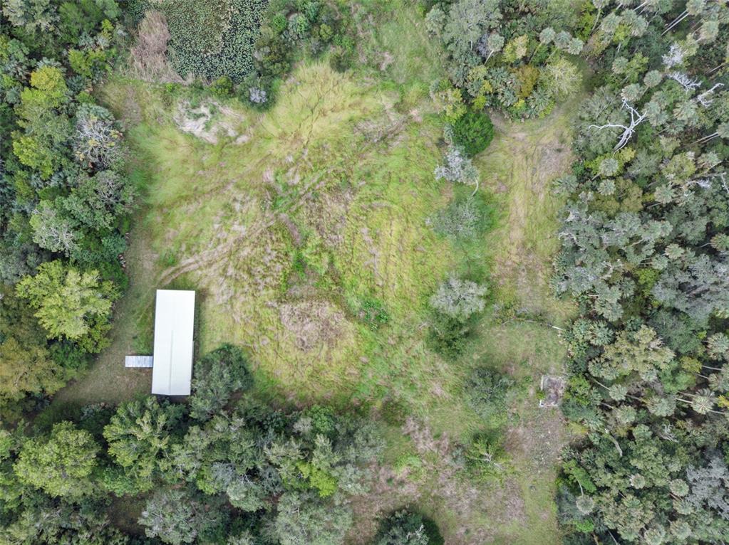 73 Alco Road Astor, FL 32102 - Photo 6 of 53 a close up of a tree in a yard