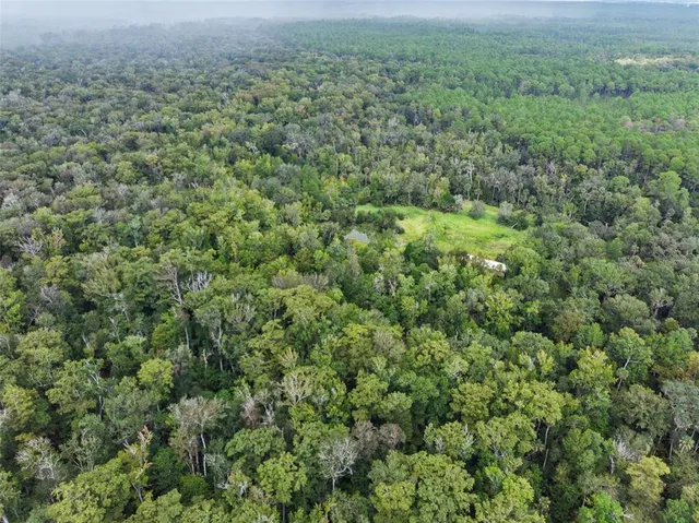 a view of a field of grass and trees