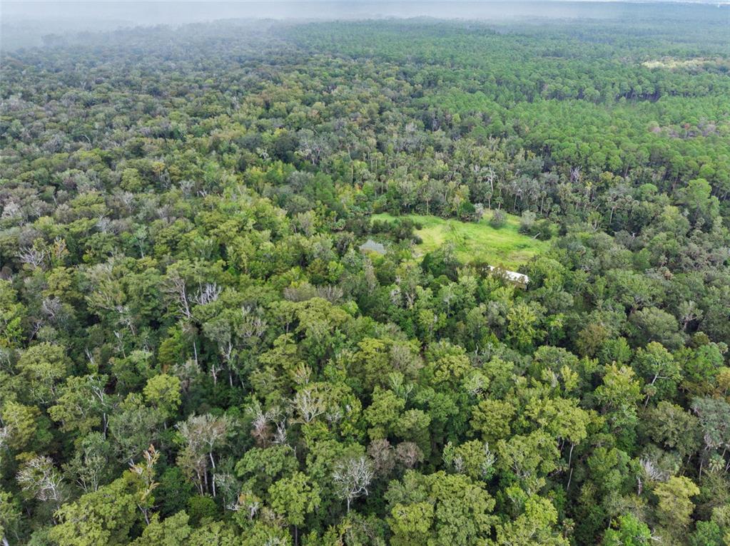 73 Alco Road Astor, FL 32102 - Photo 8 of 53 a view of a field of grass and trees