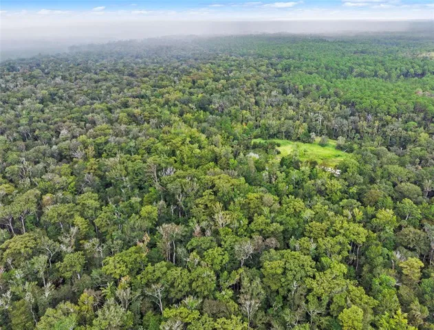 a view of a green field with lots of bushes
