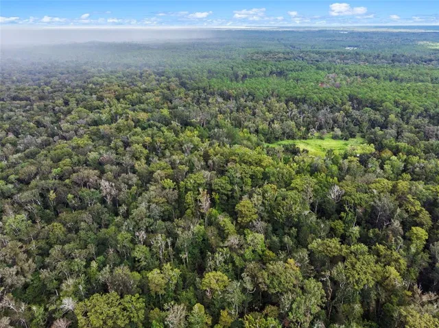 a view of a big yard with lots of green space