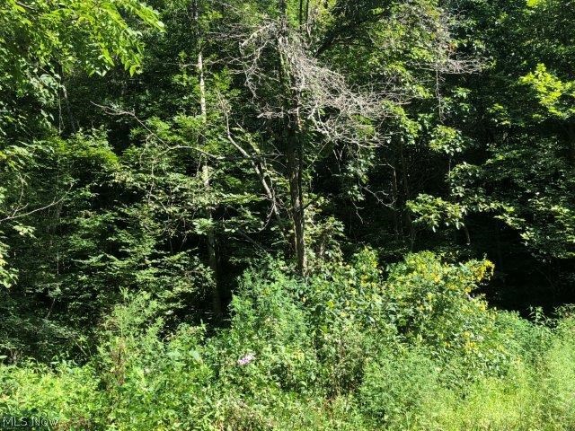 Yellow Water Road Lore City, OH 43755 - Photo 19 of 20 Gallery Image 19