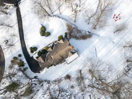 a view of a tree in a yard