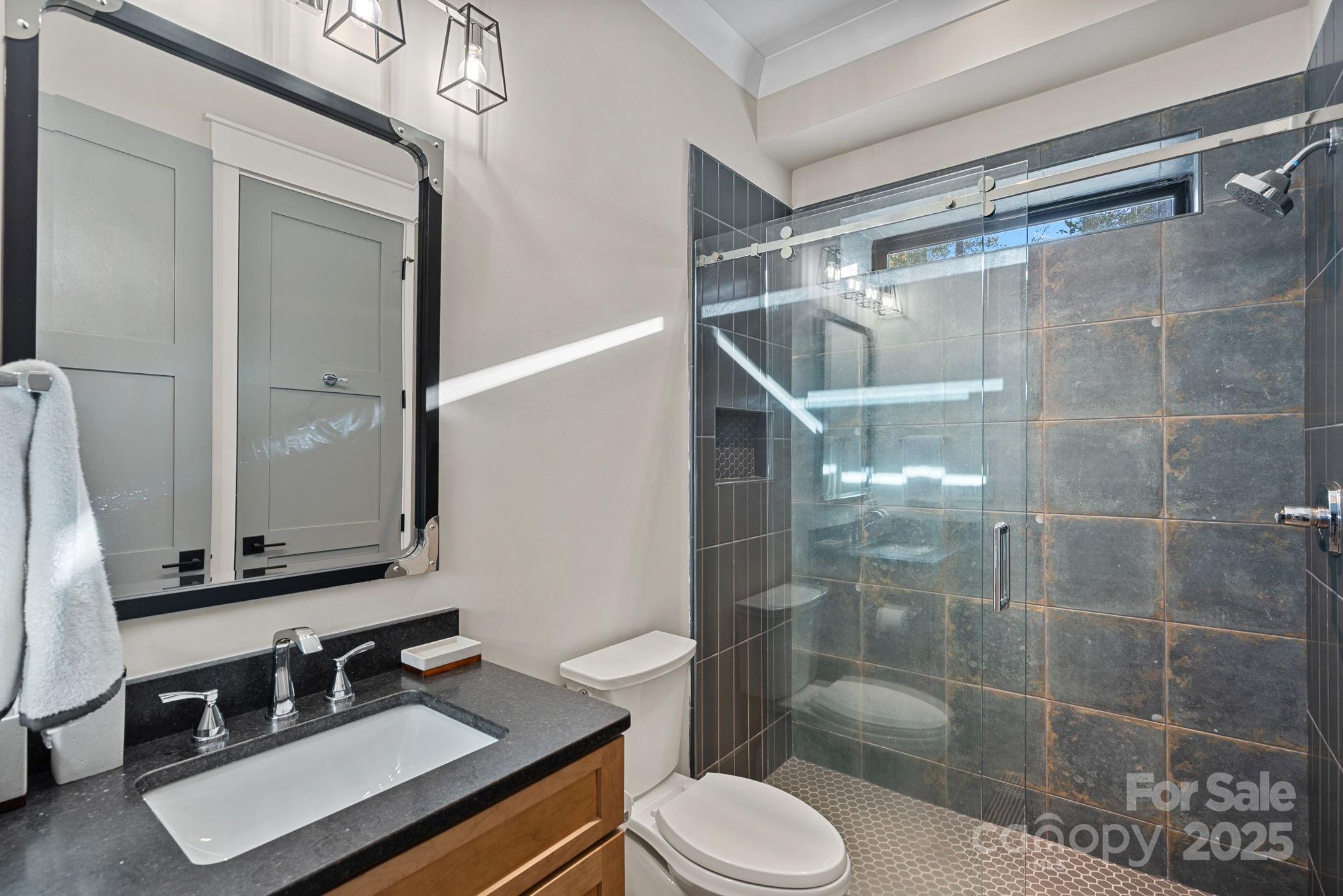 162 West Maranta Road Mooresville, NC 28117 - Photo 29 of 46 a bathroom with a sink toilet a mirror and shower