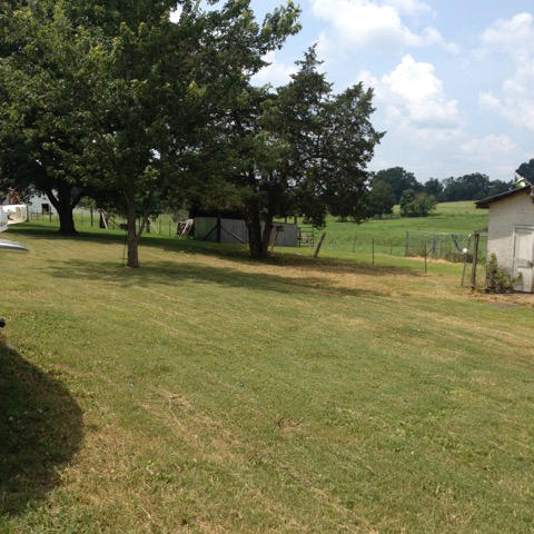 9125 East Emory Road Corryton, TN 37721 - Photo 14 of 30 IMG_4629