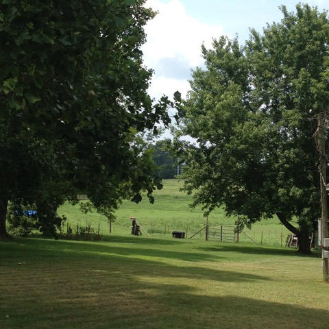 9125 East Emory Road Corryton, TN 37721 - Photo 5 of 30 IMG_4642