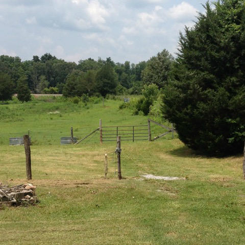 9125 East Emory Road Corryton, TN 37721 - Photo 6 of 30 IMG_4631