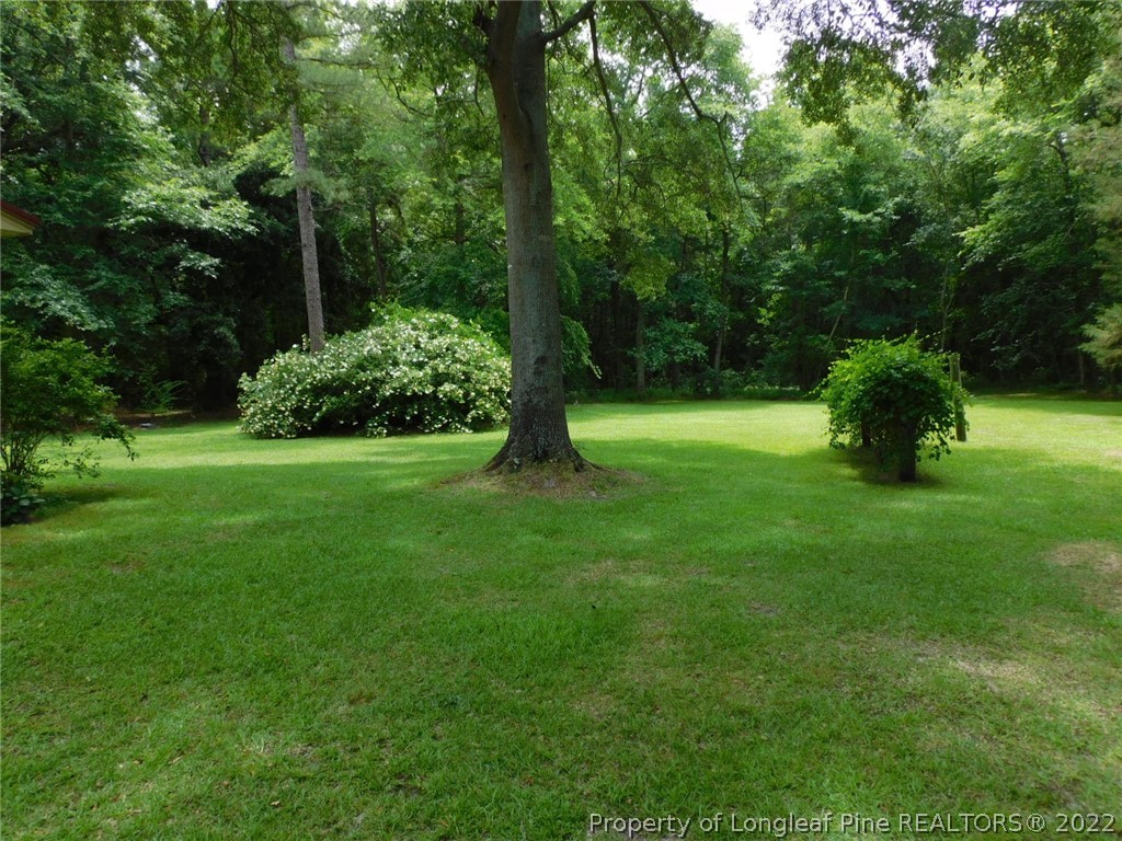 2124 Lamb Road Lumberton, NC 28358 - Photo 7 of 37 Gallery Image 7