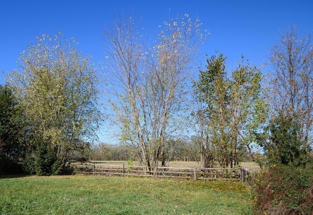 8 Cemetery Road Hadley, MA 01035 - Photo 4 of 17 Gallery Image 4