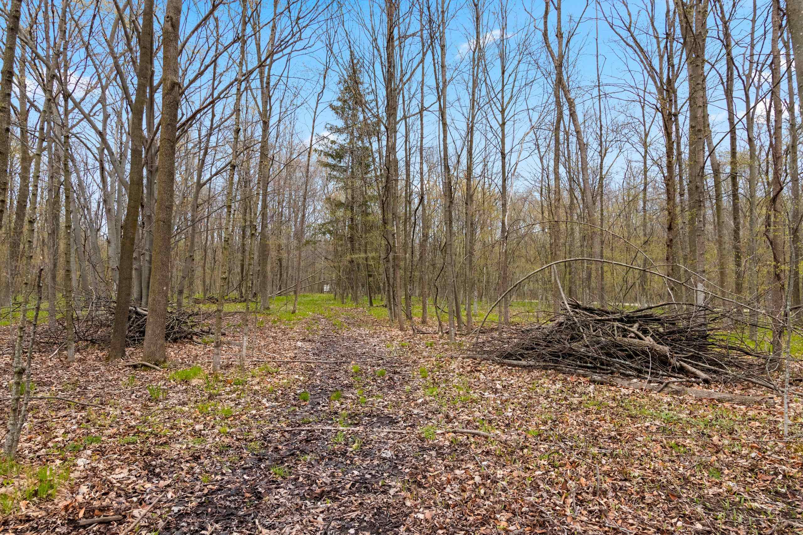 W7236 Wege Road Hortonville, WI 54944 - Photo 11 of 54