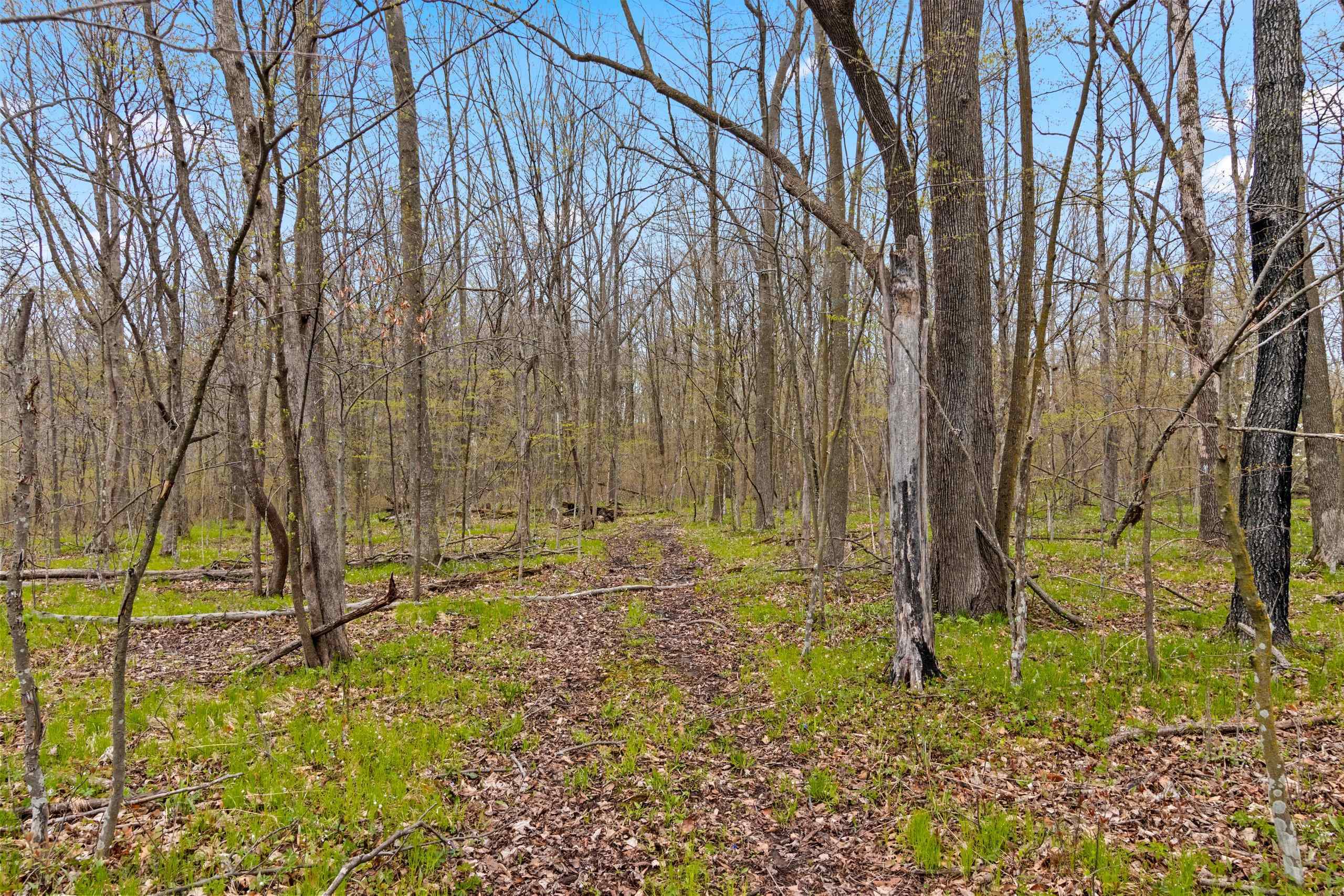 W7236 Wege Road Hortonville, WI 54944 - Photo 37 of 54