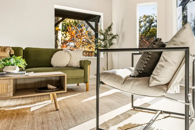a living room with furniture and a potted plant