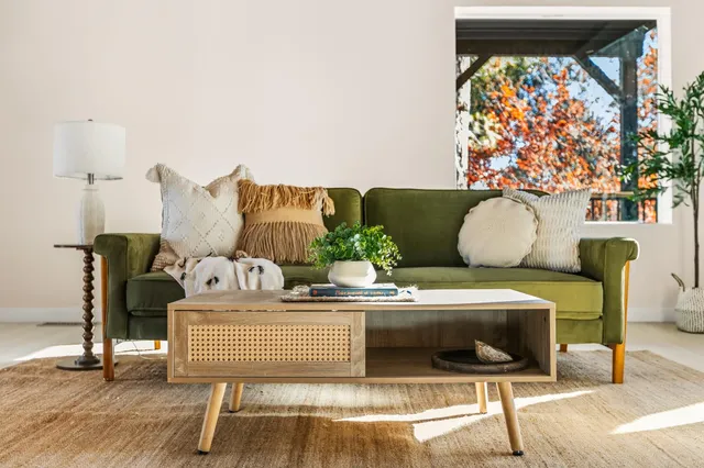 a living room with furniture and a potted plant