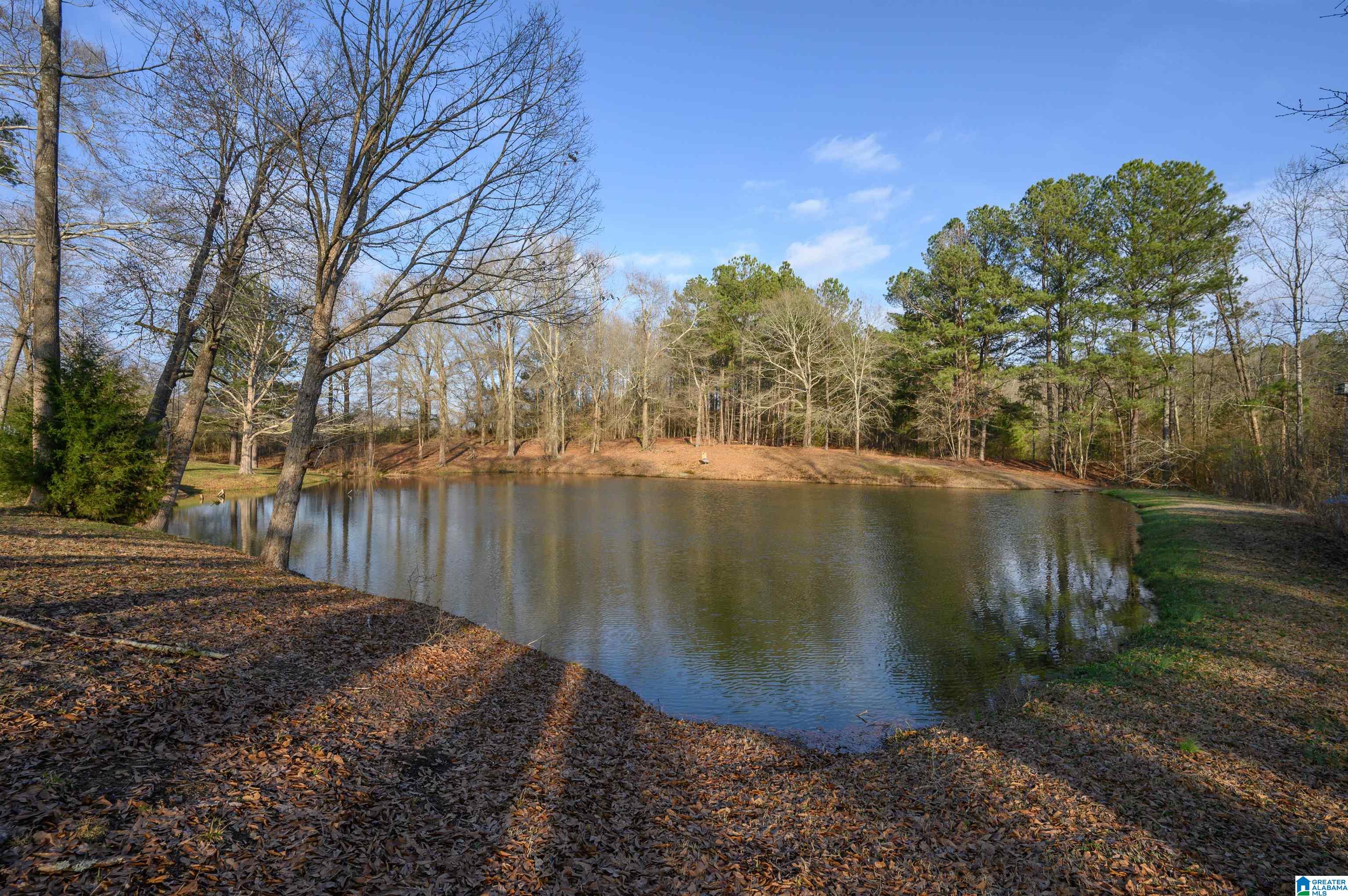 1330 Joy Road Hayden, AL 35079 - Photo 70 of 87