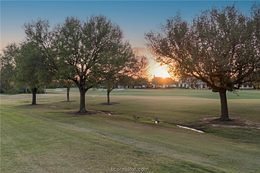 4229 Villaggio Court Bryan, TX 77802 - Photo 47 of 47