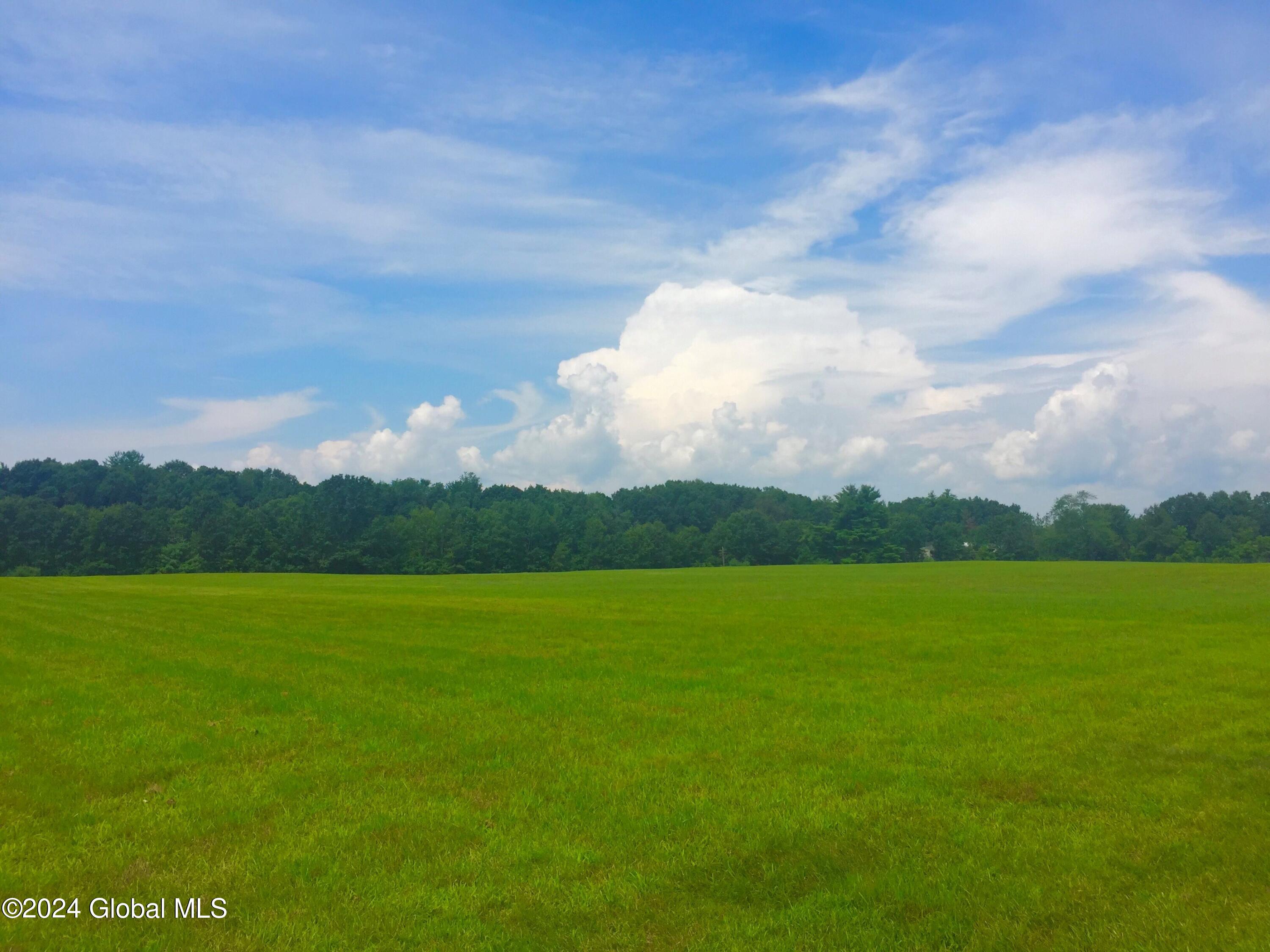 40 Geyser Road Saratoga Springs, NY 12866 - Photo 20 of 80 110