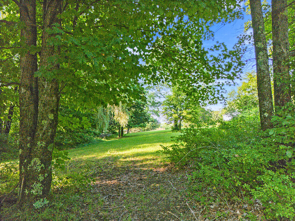 Lot20-a&b Burrill Hill Road Norridgewock, ME 04957 - Photo 4 of 17 Burrill Hill Rd
