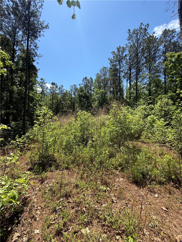 106 Fawn Drive Honea Path, SC 29654 - Photo 2 of 4 This expansive, verdant lot offers endless possibilities for your vision.