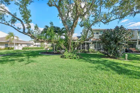 a view of a yard with plants and large trees