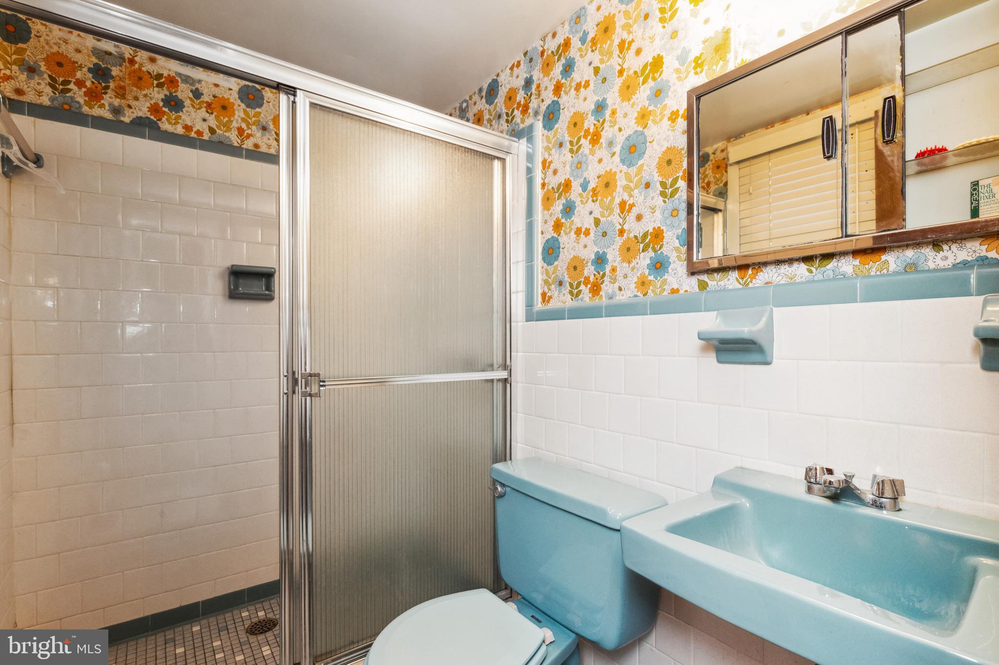 6812 Coolridge Road Temple Hills, MD 20748 - Photo 14 of 16 Basement Bathroom